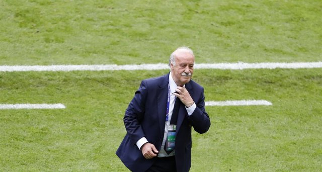 Vicente del Bosque selección española España Italia Eurocopa