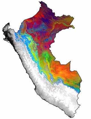 Diferencias en crecimiento de bosques tropicales en Perú