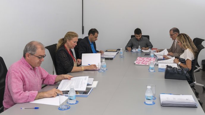 Consejo Rector del IVAM