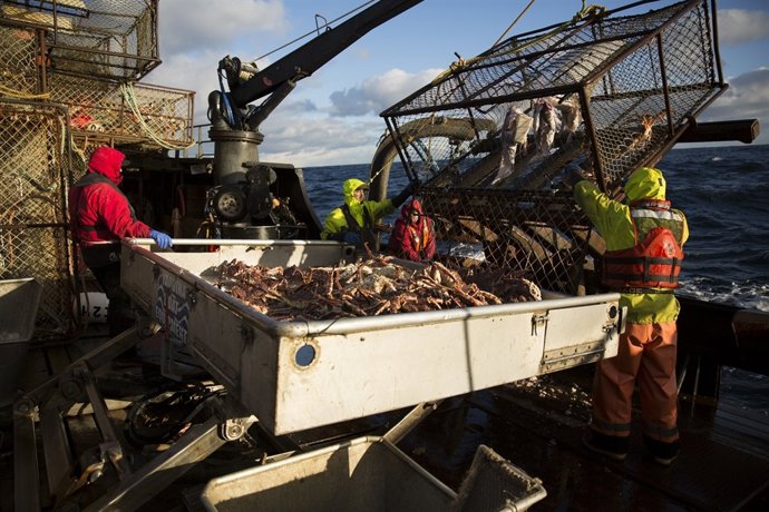 Working on the Wizard deck.