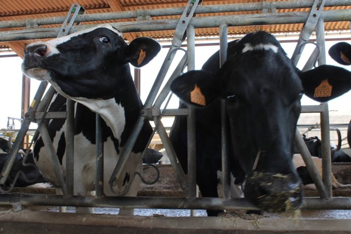 Vaquería Can Dalmau