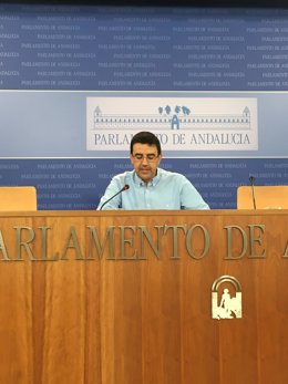 El portavoz parlamentario del PSOE-A, Mario Jiménez