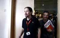 Portavoz de Podemos en Madrid reconoce que la coalición con IU podría no haber funcionado