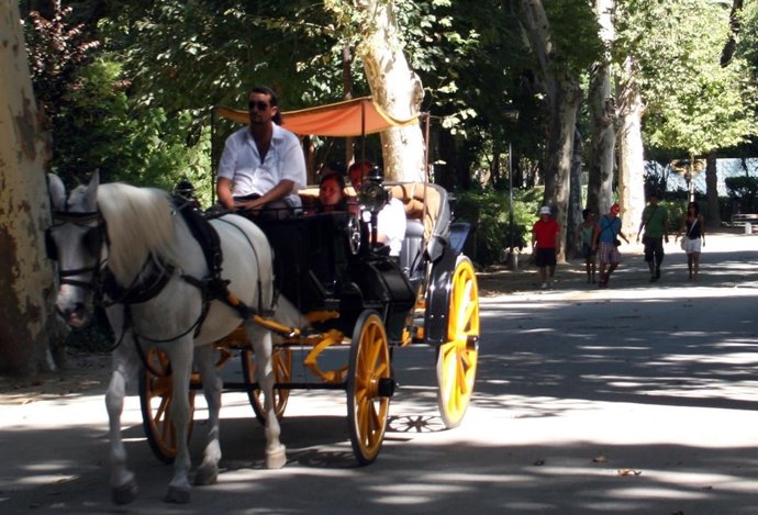 Parque Maria Luisa en Sevilla