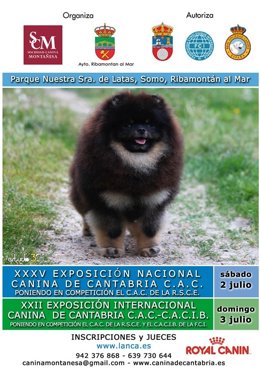 Cartel de las competiciones