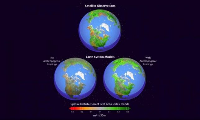 Crecimiento vegetación hemisferio norte