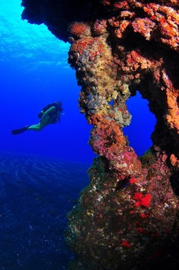 Fondos marinos de El Hierro