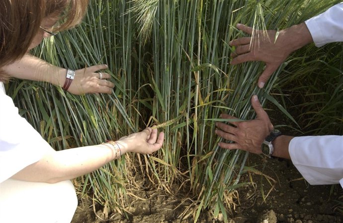 Expertos de Neiker en un campo