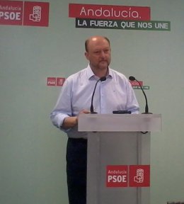 El secretario de Política Federal del PSOE, Antonio Pradas