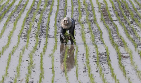 Cooperación y Desarrollo