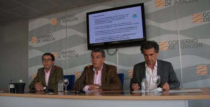 Javier Lucientes, Sebastián Celaya y Francisco Falo.