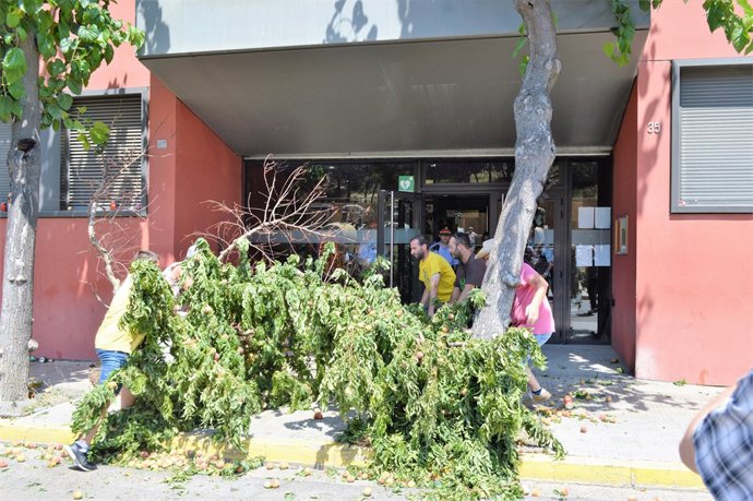 La Platafoensa De Lae La Dimisret Con Unda En Llei