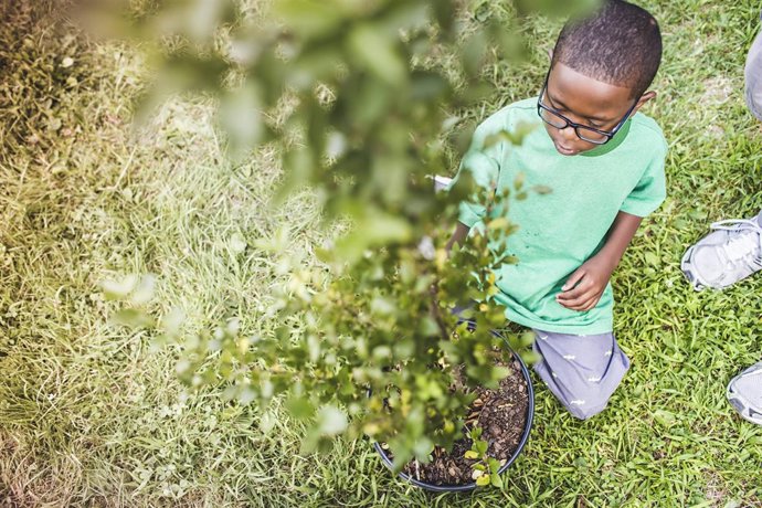 CAMPAMENTO NIÑO PEQUEÑO