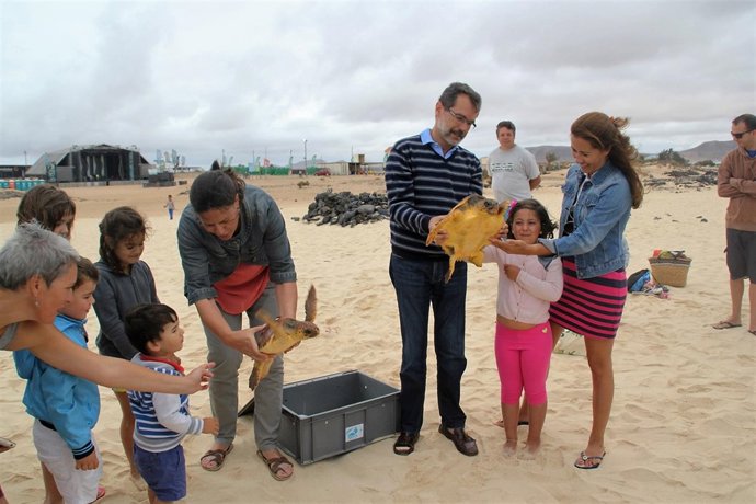 Devuelven dos tortugas al mar en Fuerteventura