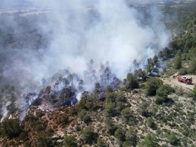 Incendio declarado este sábado en Ayora