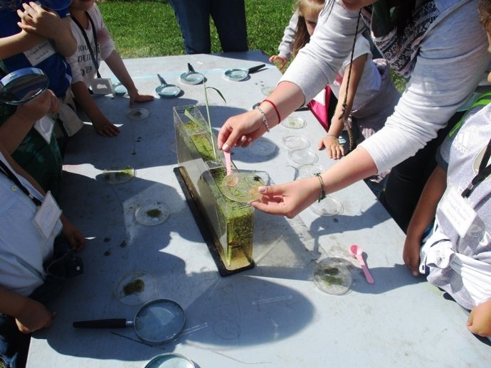 Talleres ambientales del centro Los Viveros , en Santander
