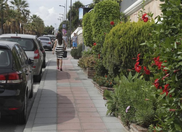 Renovación del acerado en la avenida Pilar Calvo de Nueva Andalucía, en Marbella