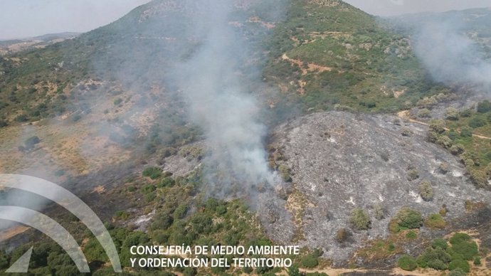 Incendio forestal en Morón de la Frontera (Sevilla)