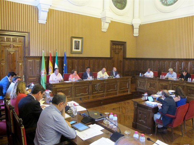 Celebración del pleno de julio