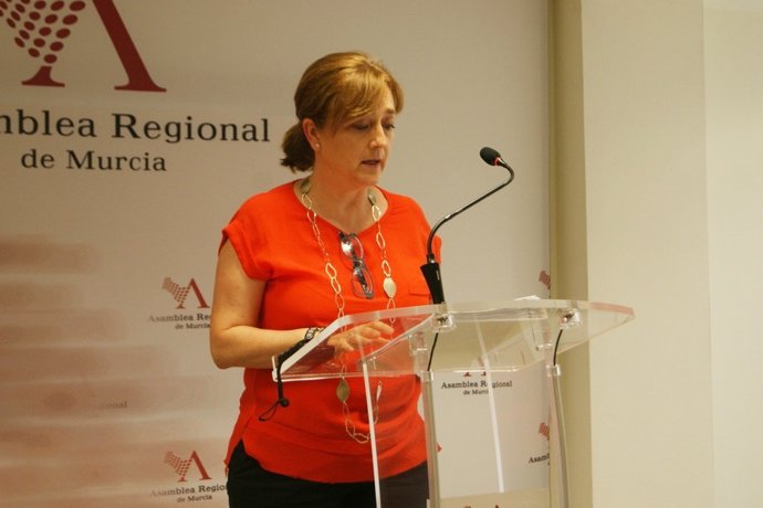 [Comunicacion] FOTO, NP Y AUDIO DE CONSUELO CANO DECRETO LEY COPAGO DEPENDIENTES
