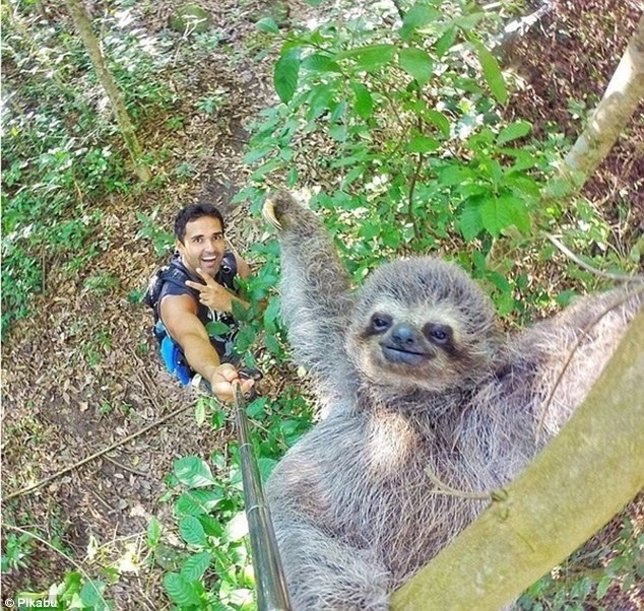 Selfie con un perezoso en la selva