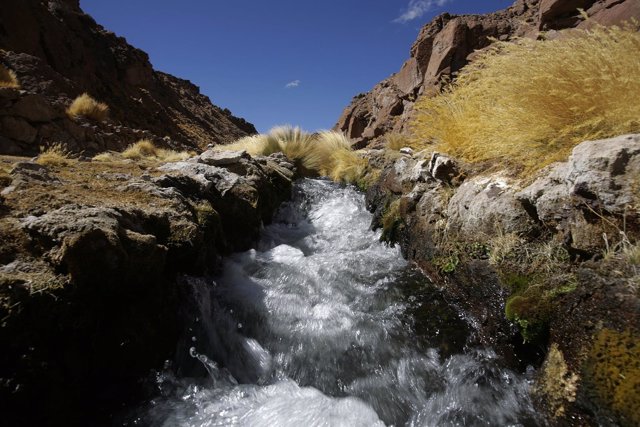 Río Silala, motivo de disputa entre Bolivia y Chile