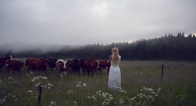 Mujer canta al ganado 