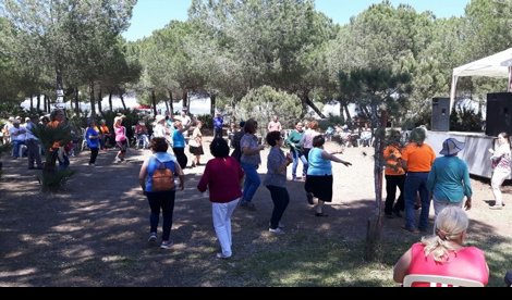 Cooperación y Desarrollo