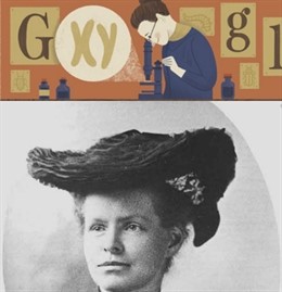 Nettie Maria Stevens