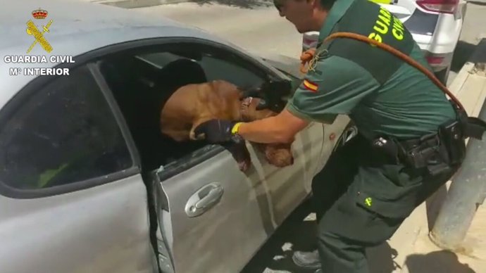 Un agente rescata al animal del interior del coche