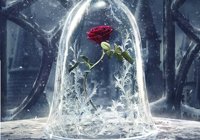 Emma Watson revela el primer cartel de La Bella y la Bestia