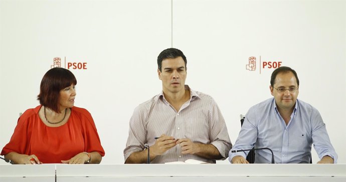 Reunión de la Ejecutiva Federal del PSOE con Pedro Sánchez