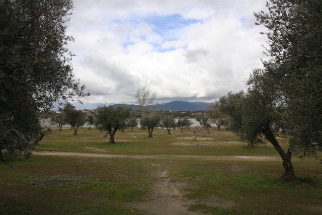 Pantano de Cazalegas,Nubes, Arboles