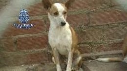 Vídeo de la noticia