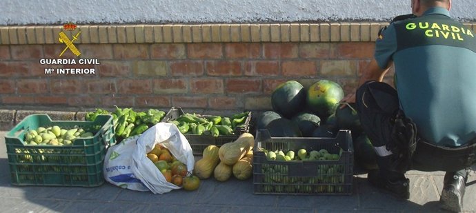 Guardia Civil equipo Roca , robos en el campo