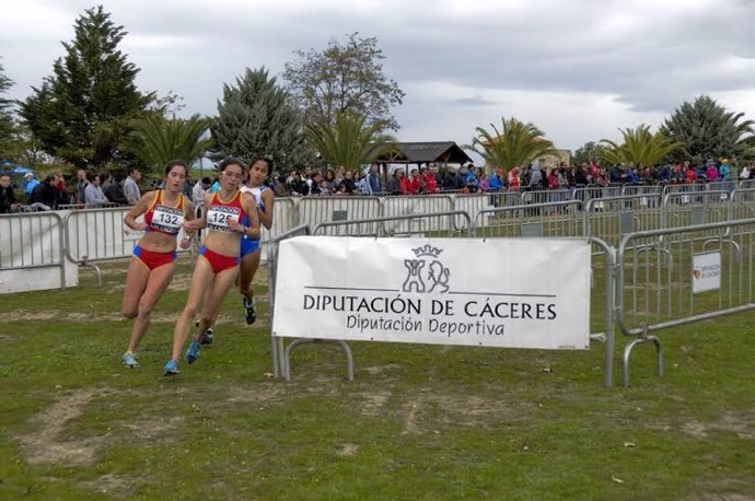 La Diputación de Cáceres destina 250.000 euros de ayudas al deporte