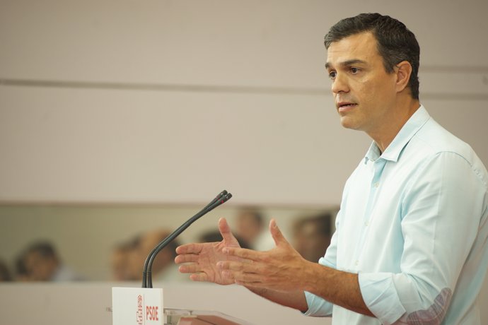 Pedro Sánchez ante el Comité Federal de su partido