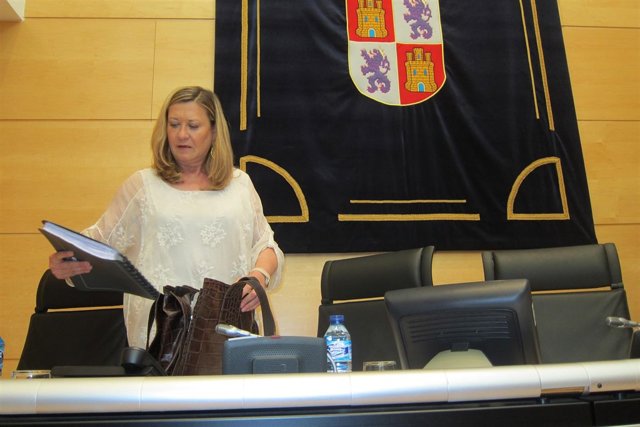 Del Olmo antes de iniciar su comparecencia en la Comisión del HUBU