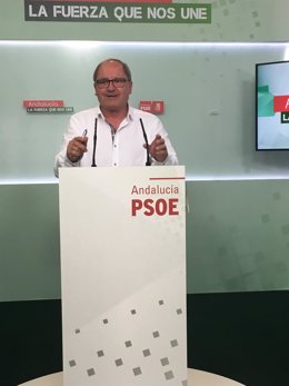 El secretario de Organización del PSOE-A, Juan Cornejo