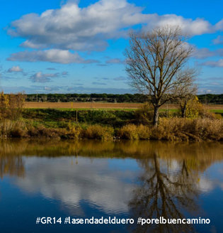 Ruta del Vino Ribera del Duero 
