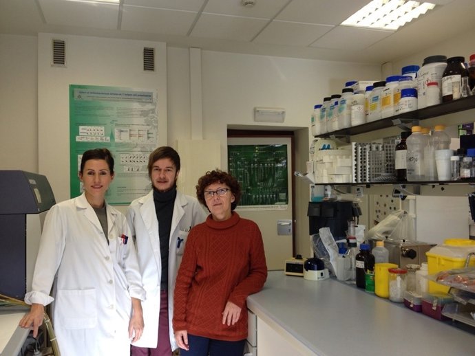 Investigadores de la Universidad de Oviedo