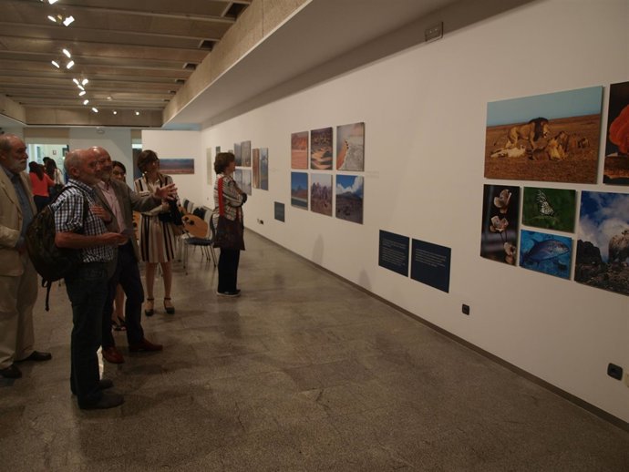 Apertura de la exposición