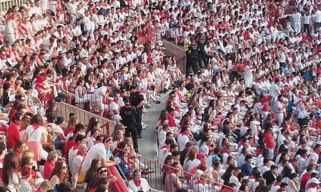 Agentes de Policía Foral identifican a una persona en la Plaza de Toros 
