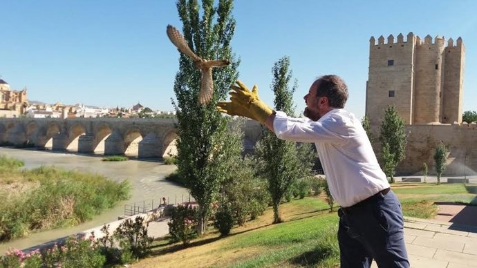 Algar libera a una de las aves
