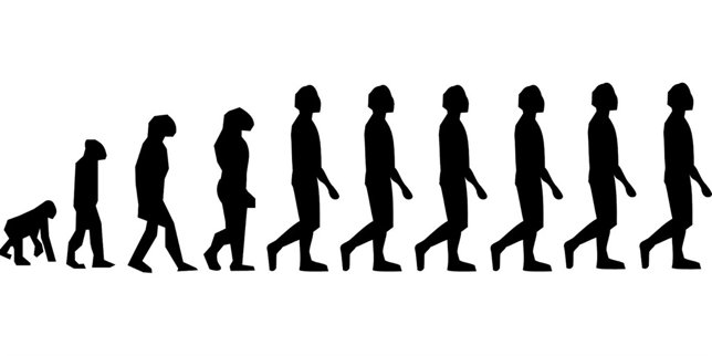 Evolución