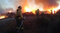 Realojados 424 de los 545 evacuados por incendios en La Línea y San Roque