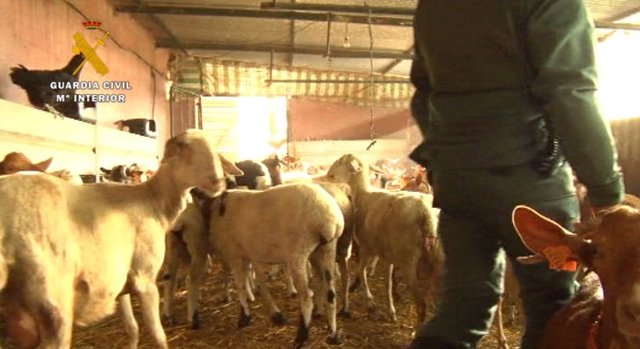 Intervención en una granja en Torrox