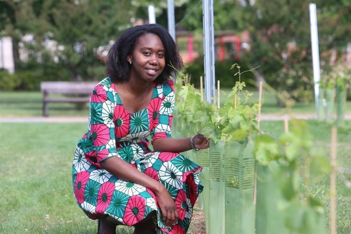 Olouwafêmi Mistourath