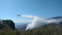 La Junta considera "intencionados" los incendios de San Roque y La Línea