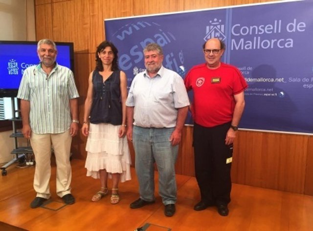 Consell de Mallorca